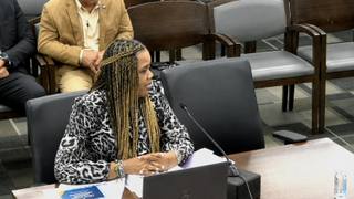 Melanie Neal, Director of Community Enhancement for the City of Memphis, speaking at a microphone during a Memphis City Council committee meeting.