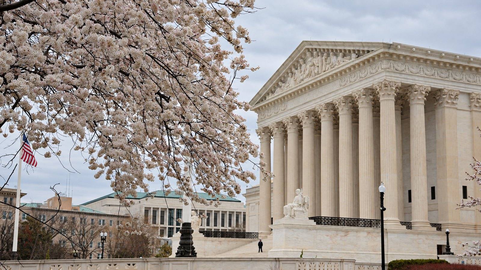 The U.S. Supreme Court building in Washington, D.C., seen past blossoming cherry trees.