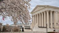 The U.S. Supreme Court building in Washington, D.C., seen past blossoming cherry trees.