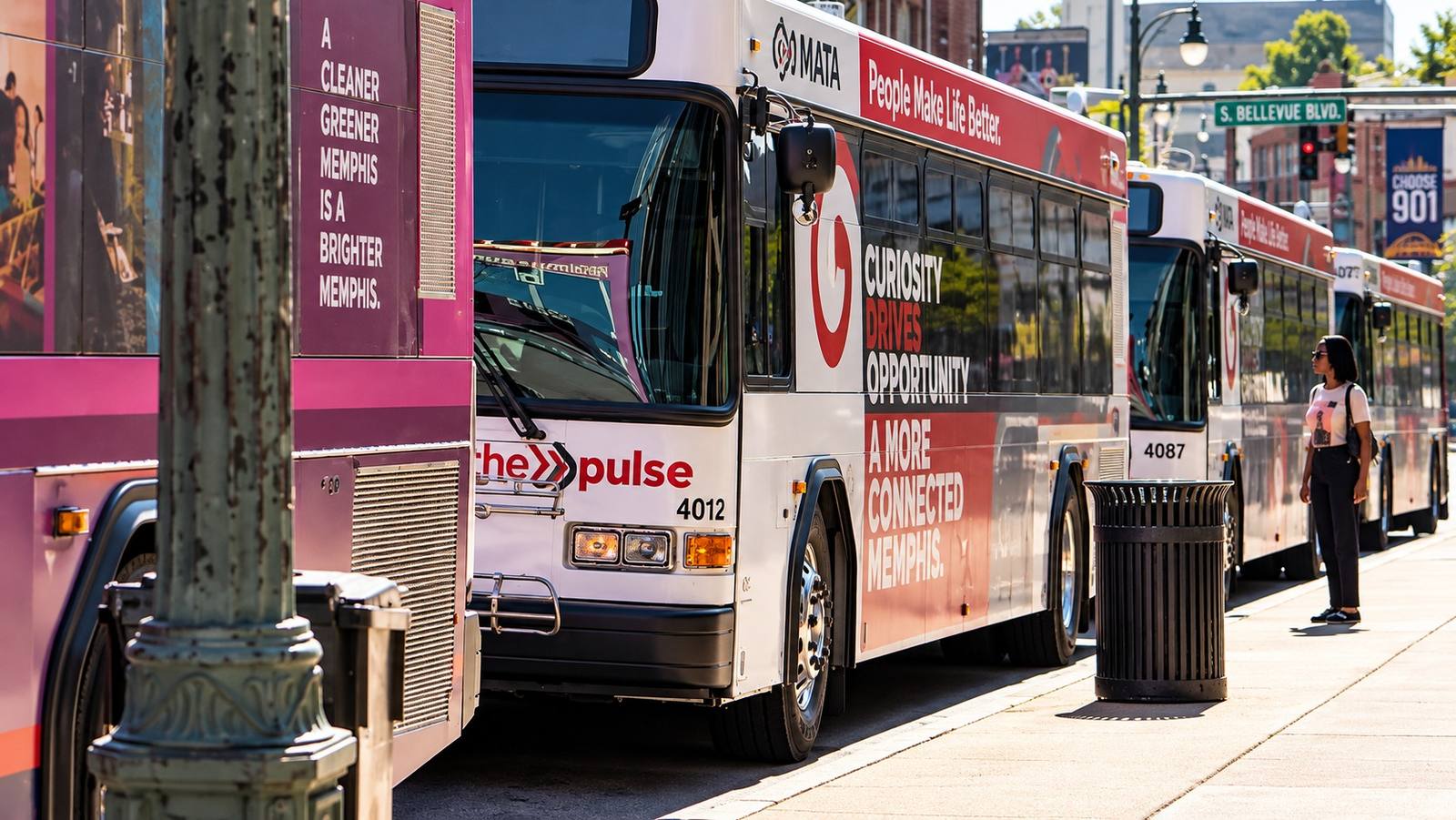 MATA transit buses lined up at a Memphis street bus stop in daylight.