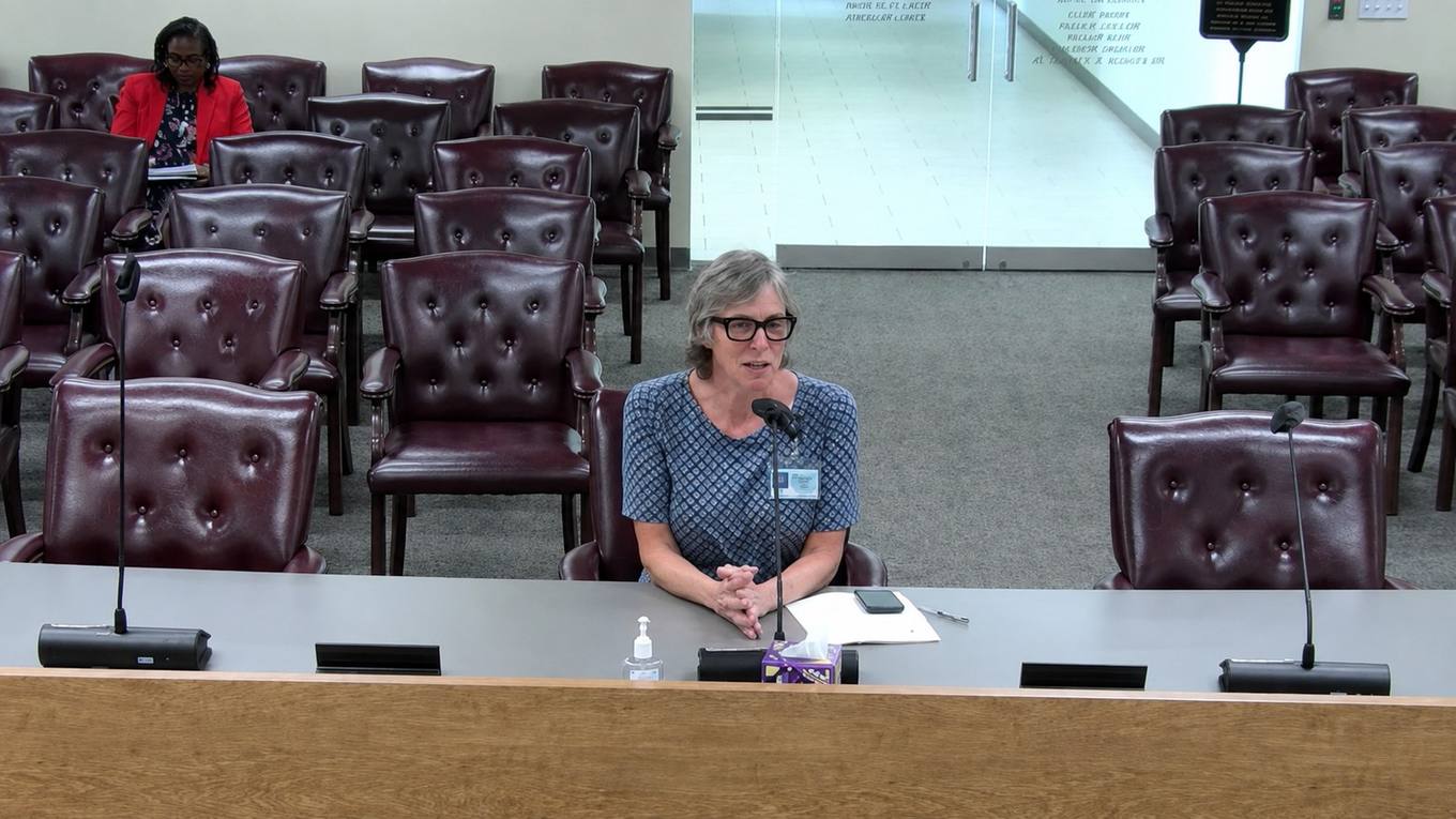 Dana Wilson, then-Deputy Chief of Staff to Shelby County Mayor Lee Harris, addresses commissioners during discussion of an ordinance establishing limits on the solitary confinement of juveniles in county custody.