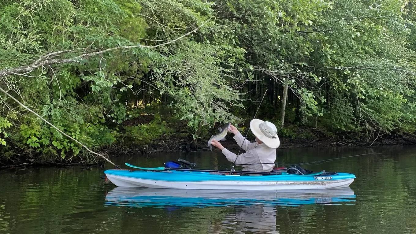 A fisherman holds his catch while fishing on a Tennessee lake.